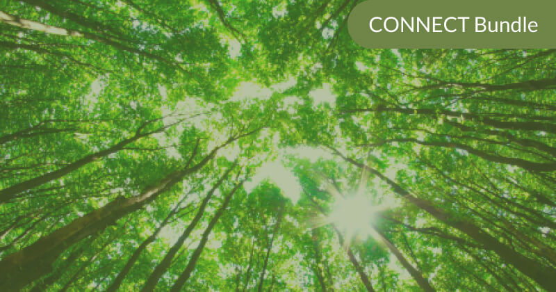 CONNECT 2020: Psychedelics Courses Bundle