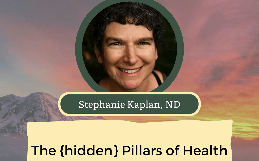 CONNECT 2025 | The {hidden} Pillars of Health | Stephanie Kaplan, ND